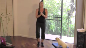 Jessica Smith Fitness Expert Fusion Workouts